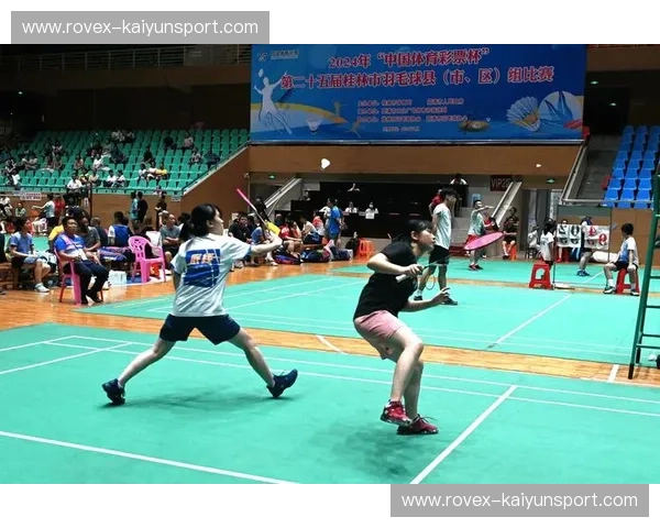 羽毛球赛后争议：赛场背后的隐秘角力