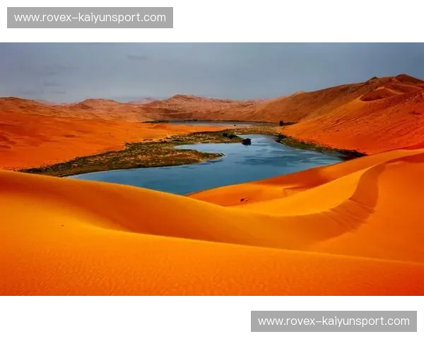 迪拜纳斯尔：金色沙海上的璀璨明珠，激情与荣耀的交响曲